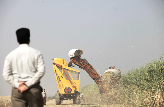 کاهش 25 درصدی تولید شکر در شرکت توسعه نیشکر خوزستان/کارشناسان: 25درصد خوش بینانه است کاهش ۲۵ درصدی تولید شکر در شرکت توسعه نیشکر خوزستان/کارشناسان: ۲۵درصد خوش بینانه است