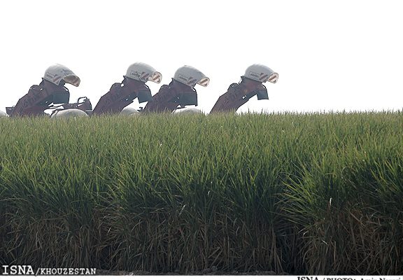 توانستیم بر بحران خشکسالی در مزارع نیشکر غلبه کنیم توانستیم بر بحران خشکسالی در مزارع نیشکر غلبه کنیم