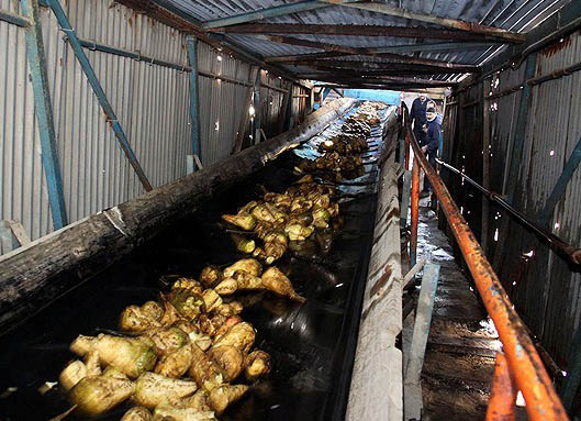 تاسیس ۸ کارخانه در خوزستان برای خودکفایی شکر ضروری است