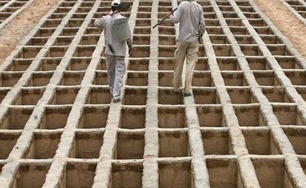 افزایش قیمت مرگ افزایش قیمت مرگ