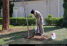 گزارش تصویری| رهبری معظم انقلاب در آستانه روز درختکاری نهال غرص کردند