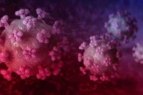 شناسایی 2034 بیمار جدید کرونا در کشور شناسایی ۲۰۳۴ بیمار جدید کرونا در کشور