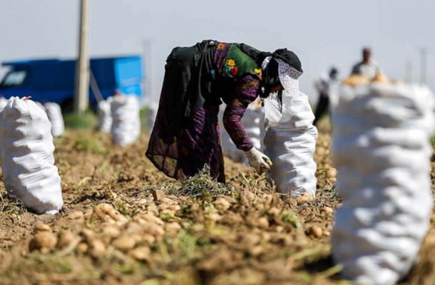 کدام استان‌ها در بهار کرونایی بیکارتر شدند؟