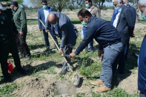 کشت یک‌میلیون اصله نهال در ۸۰۰ هکتار اراضی کشت و صنعت امام‌خمینی(ره)