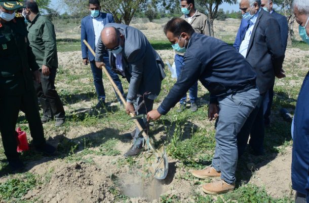 کشت یک‌میلیون اصله نهال در ۸۰۰ هکتار اراضی کشت و صنعت امام‌خمینی(ره)