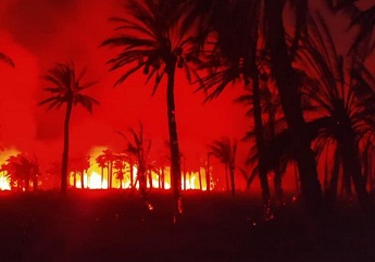 هزار نخل خرمای اروندکنار در آتش سوخت