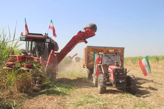 خواب هفت‌تپه دوم شدن کشت و صنعت امام خمینی(ره) توهمی بزرگ است/ حاشیه‌سازی‌های فتنه‌انگیز برای موفق‌ترین شرکت تولید شکر کشور