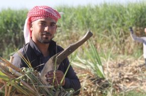 هدف‌مان رسیدن به تولید با تمام ظرفیت است