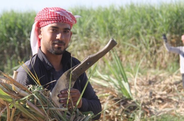 هدف‌مان رسیدن به تولید با تمام ظرفیت است