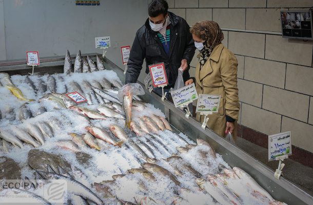 افت تولید قزل آلا و صعود قیمت آن / کف قیمت ۱۰۵ هزار تومان