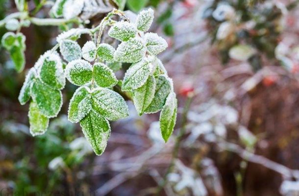هشدار قرمز؛ کاهش شدید ۱۲ تا ۱۵ درجهای دما در ۴ استان هشدار قرمز؛ کاهش شدید ۱۲ تا ۱۵ درجهای دما در ۴ استان