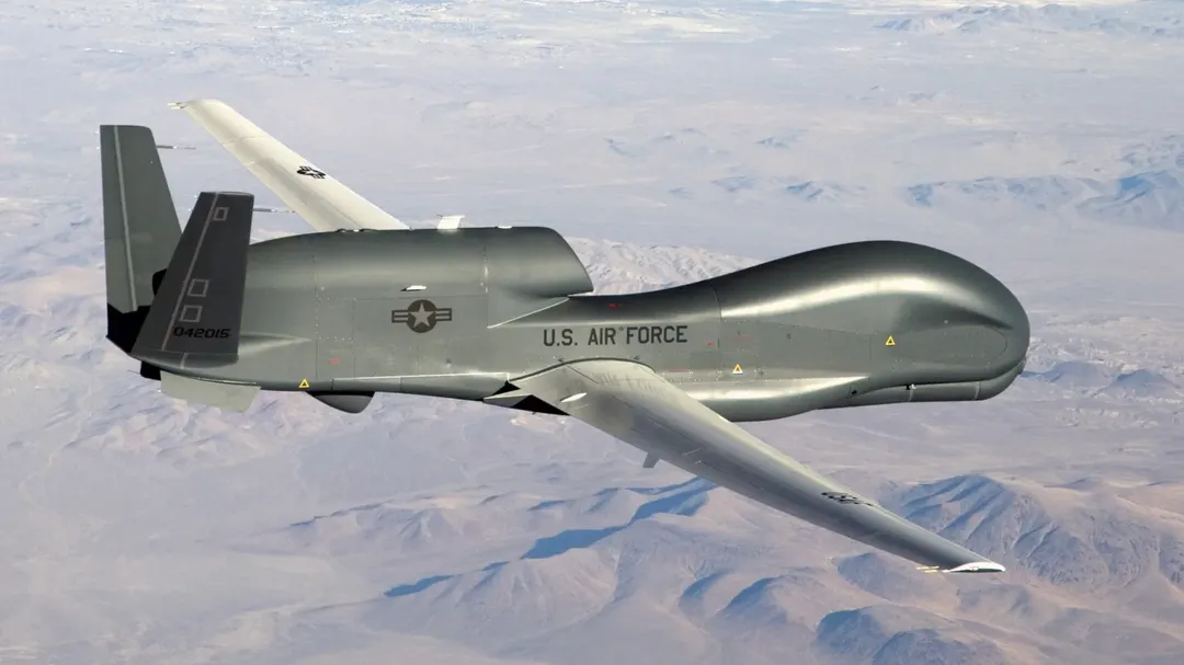 پرنده ای دردسرساز