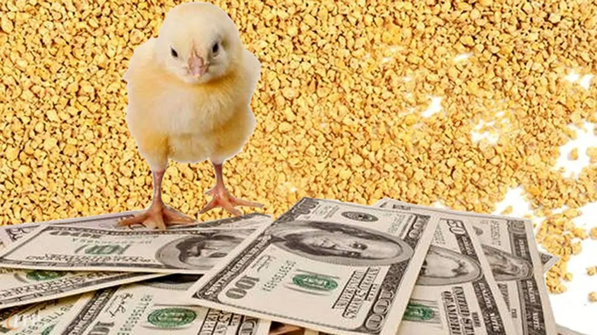 قیمت نهاده ها پس‌از حذف ارز ترجیحی مشخص شد