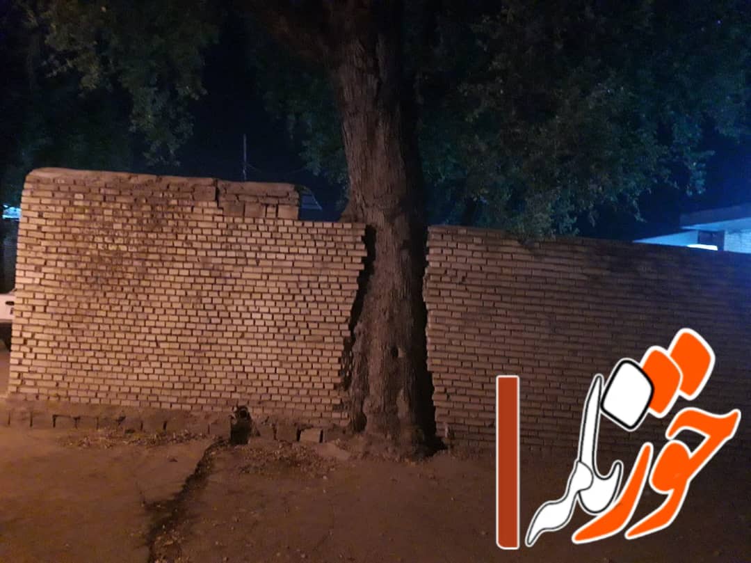 شهروندخبرنگار گتوند ؛اقدام جالب یک شهروند برای حفظ درخت + عکس